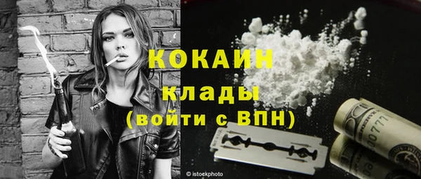 дживик Каменногорск
