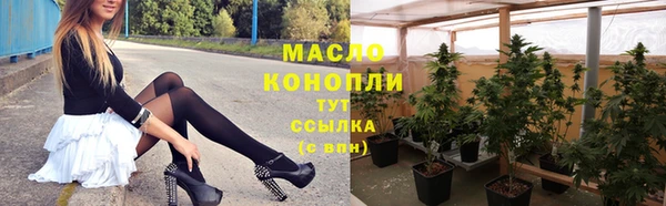 дживик Каменногорск