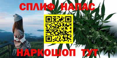 mdpv Первоуральск