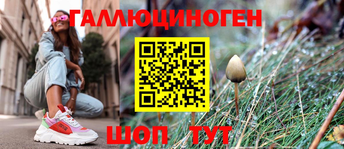 Псилоцибиновые грибы Magic Shrooms  Вход с VPN  Шуя 